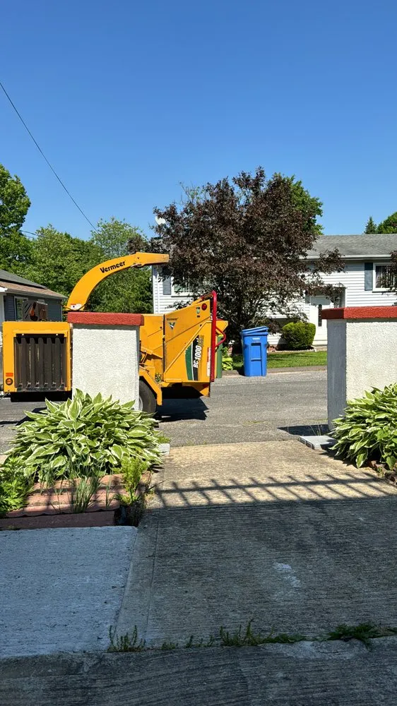 Trusted yard maintenance experts serving Newington, CT - YG Tree Service Construction and More