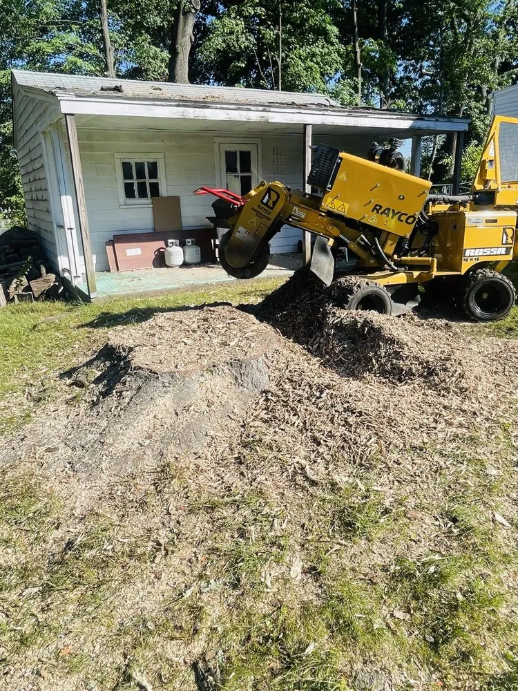 Reliable yard cleanup service in Newington, CT by YG Tree Service Construction and More