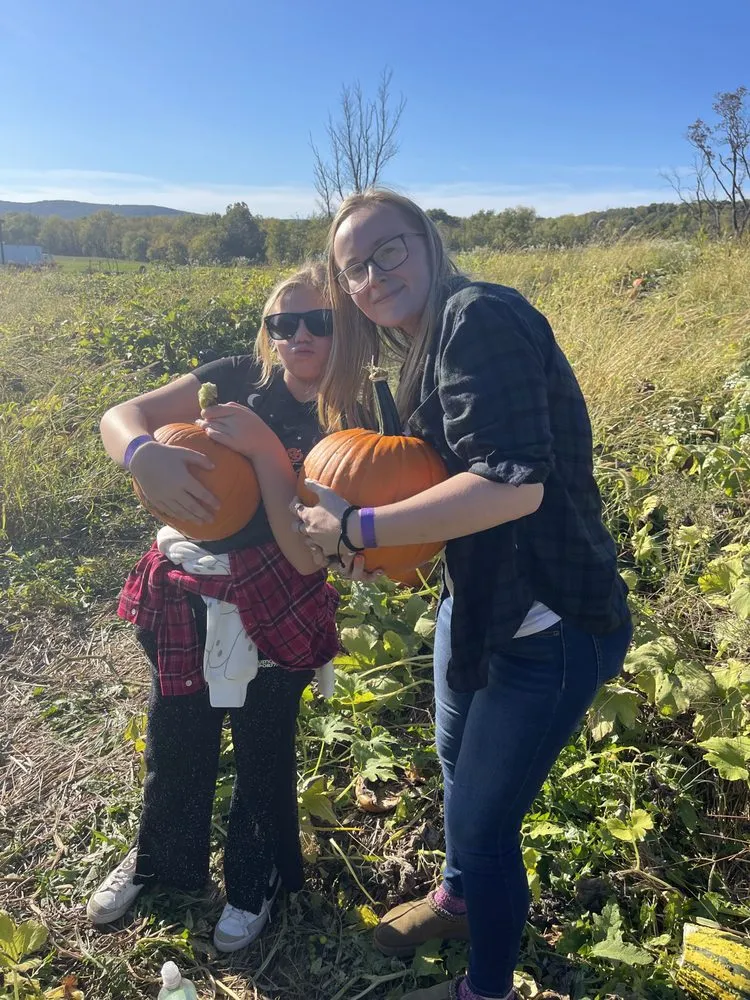 Trusted landscape design experts serving Branchville, NJ - YHWH Visions Landscaping