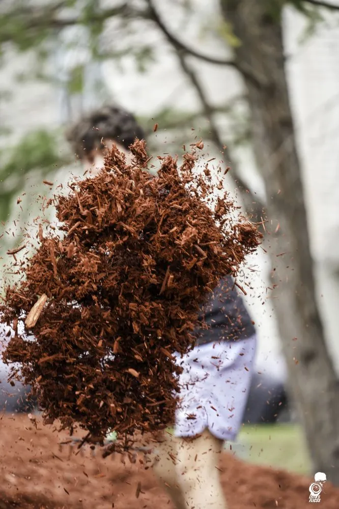 Trusted garden landscaping near you across Totowa, NJ - Yianni's Landscape Group