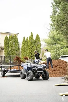 Yianni's Landscape Group