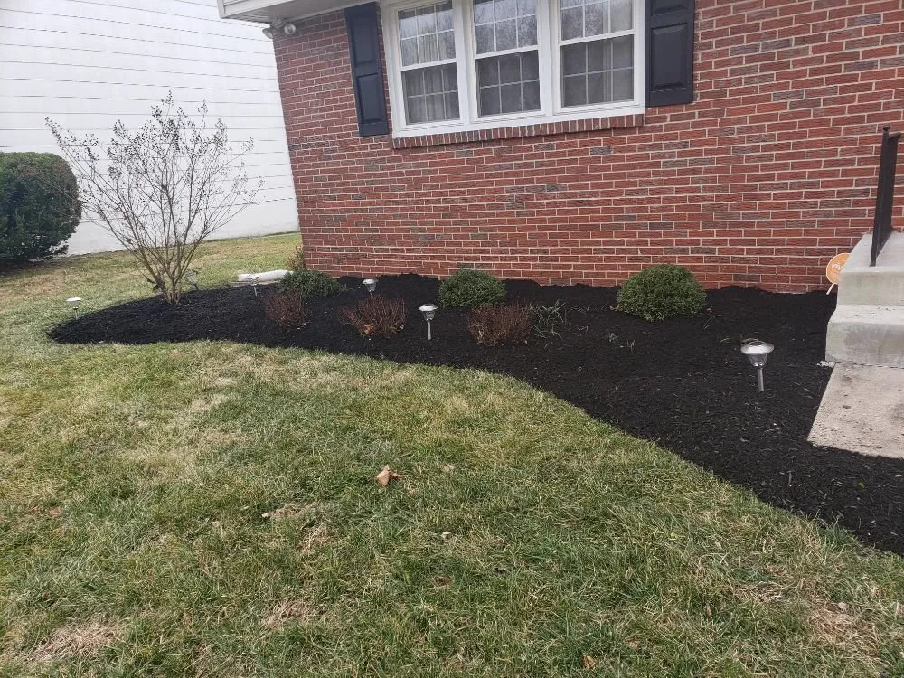 Local yard cleanup service experts serving Baltimore, MD - Yibo Landscaping