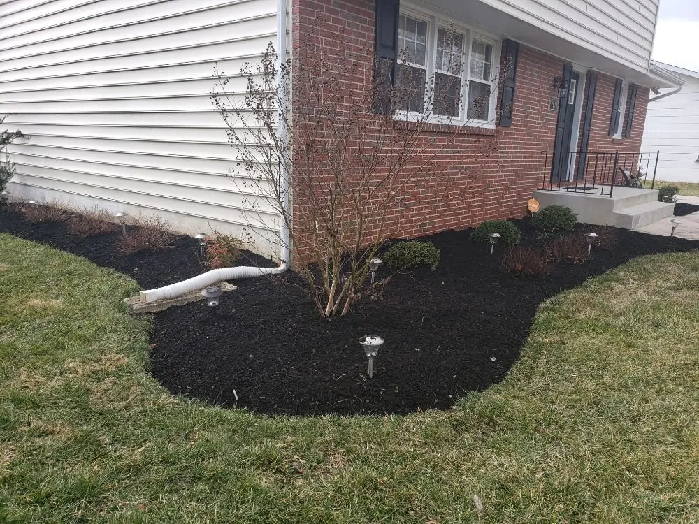 Top-rated lawn care service in Baltimore, MD by Yibo Landscaping