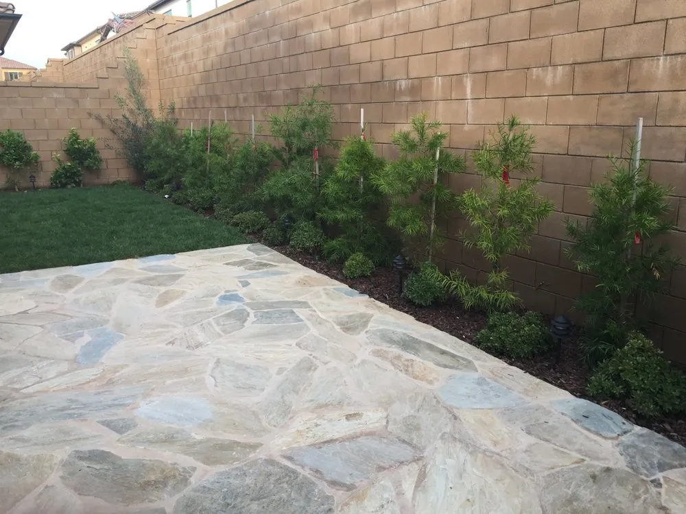 Affordable landscape design in Tustin, CA - Yiheng Design Studios