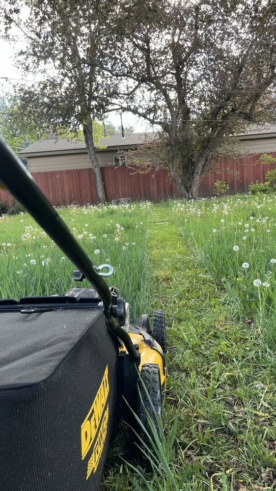 Trusted lawn care service for residential properties in Flagstaff, AZ by Yilmaz Landscaping