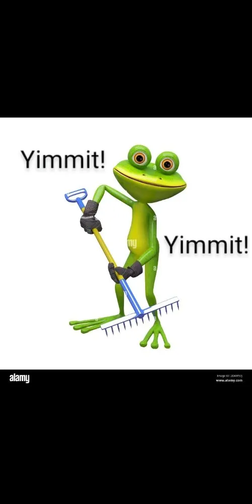 Professional yard cleanup service for residential properties across Hesperia, MI - Yimmits Lawn Maintinance Plus