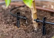 Local outdoor landscaping experts serving Ocala, FL - Yireh Yahweh Landscape