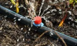 Reliable lawn care service with custom design across Ocala, FL - Yireh Yahweh Landscape