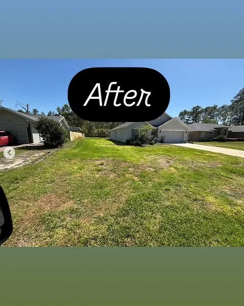 Expert yard cleanup service for outdoor upgrades across Ocala, FL - Yireh Yahweh Landscape