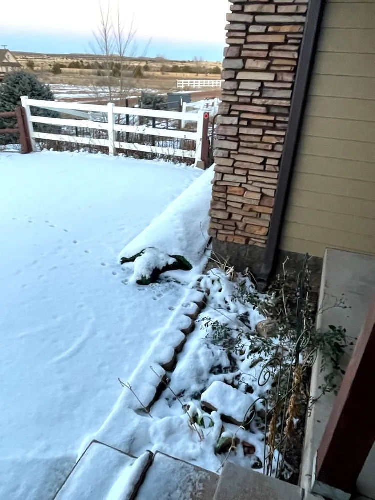 Top-rated landscaping services for year-round maintenance across Pinetop-Lakeside, AZ - Y&L Landscapes and Maintenance