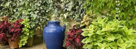 Affordable yard cleanup service in North Miami Beach, FL by Yls Landscaping