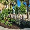 Trusted yard cleanup service in North Miami Beach, FL - Yls Landscaping