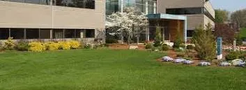 Professional landscape design in North Miami Beach, FL - Yls Landscaping