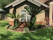 Expert landscaping services in North Miami Beach, FL - Yls Landscaping