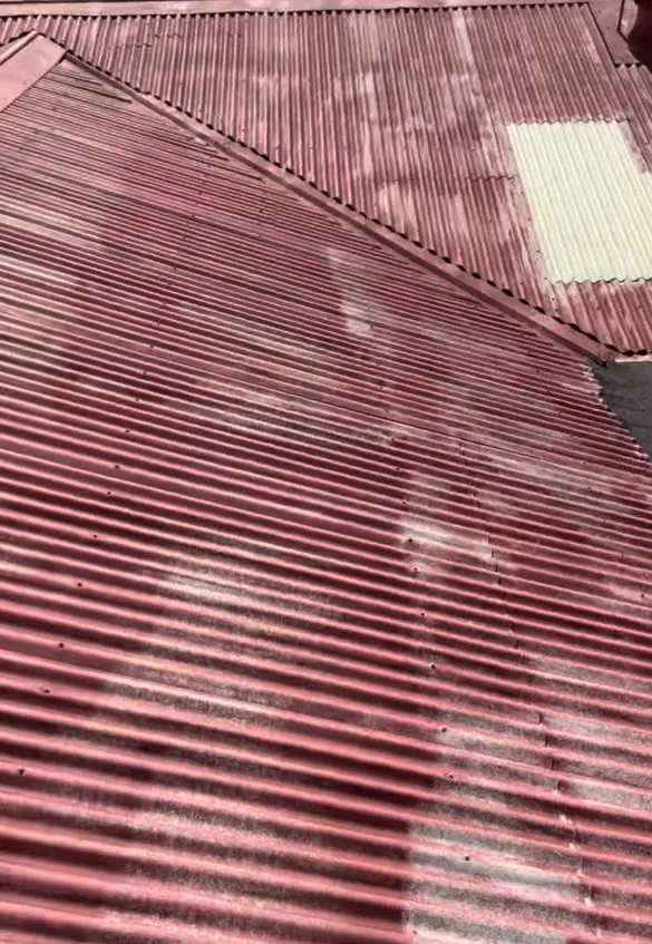 Professional residential landscaping in Hilo, HI by YM Services