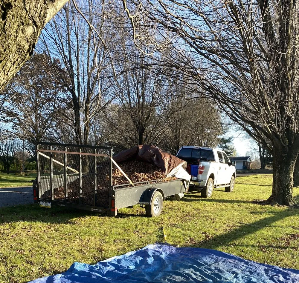 Custom yard cleanup service for beautiful yards in West Grove, PA by YMG Landscaping