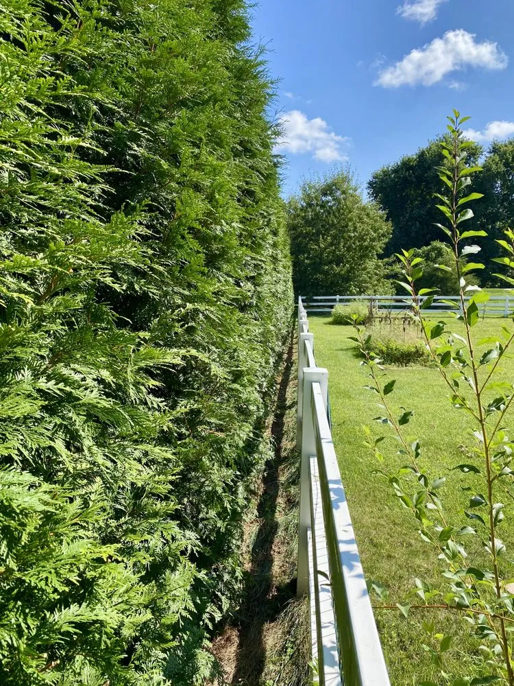 Affordable landscape installation for residential properties across West Grove, PA - YMG Landscaping