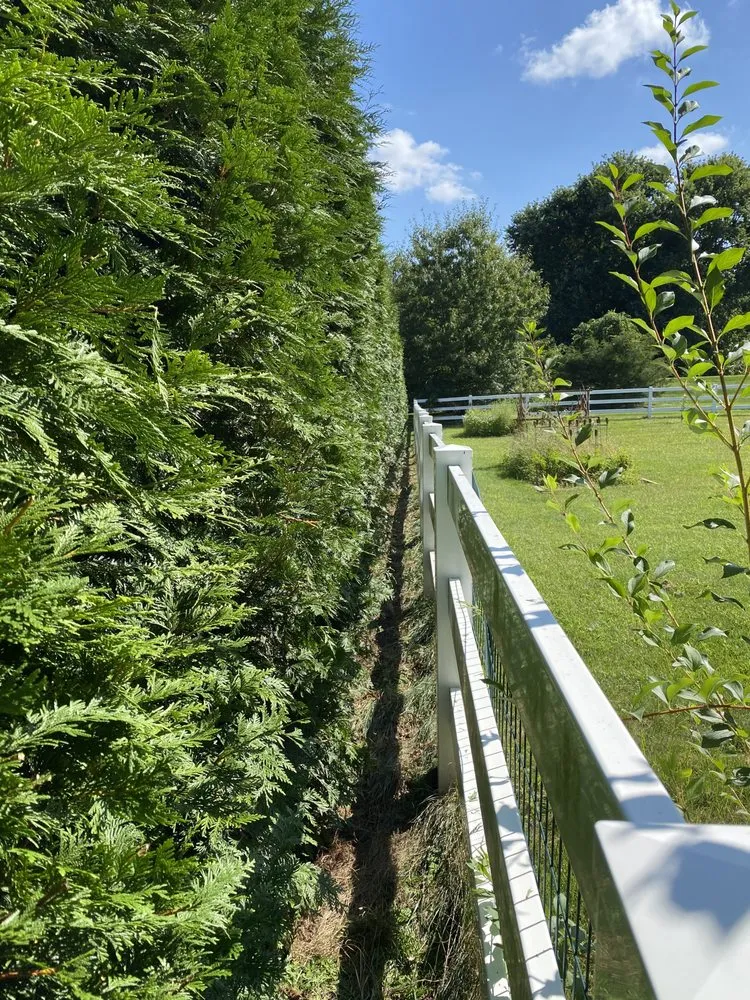 Affordable landscaping services near you in West Grove, PA by YMG Landscaping