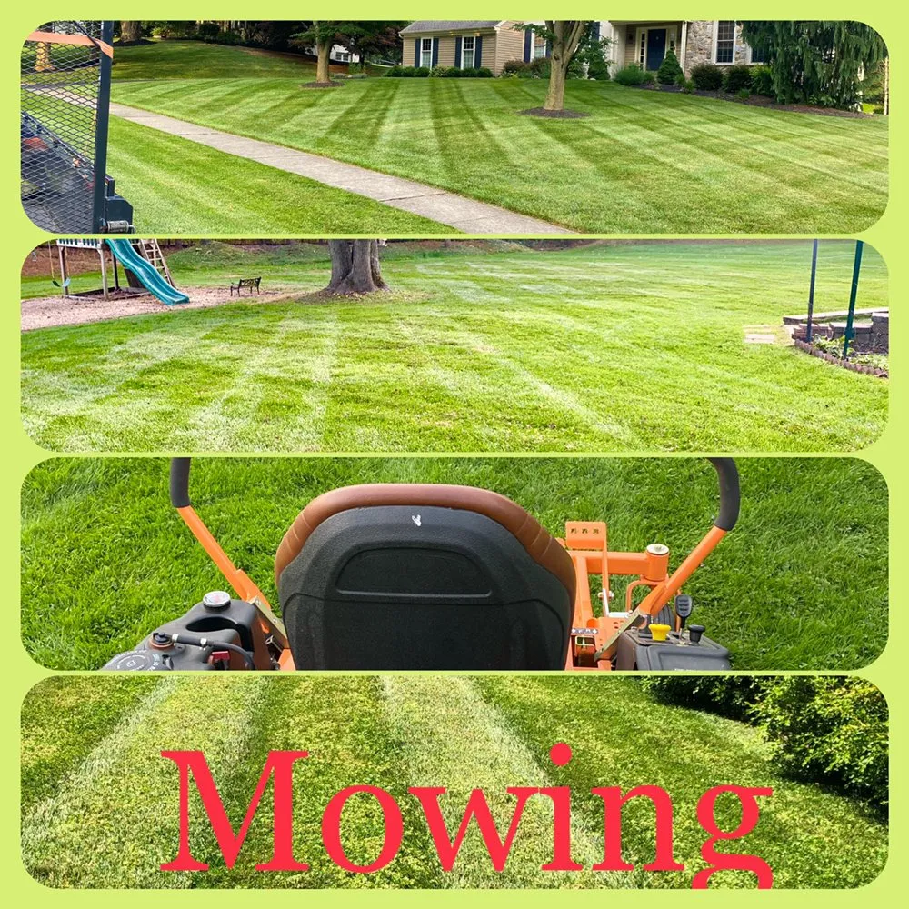 Reliable landscape installation for year-round maintenance in West Grove, PA by YMG Landscaping