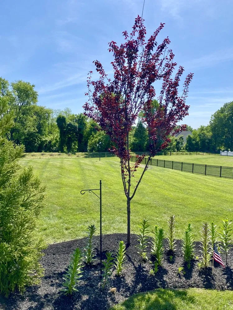 Professional garden landscaping in West Grove, PA - YMG Landscaping