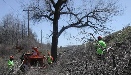 Affordable yard maintenance for beautiful yards across Castle Rock, CO - YMS Landscaping & Concrete