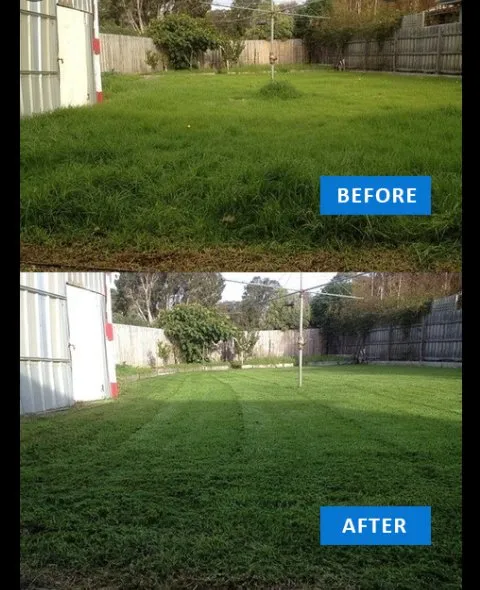 Affordable lawn care service with custom design across Palestine, TX - YNF lawn care