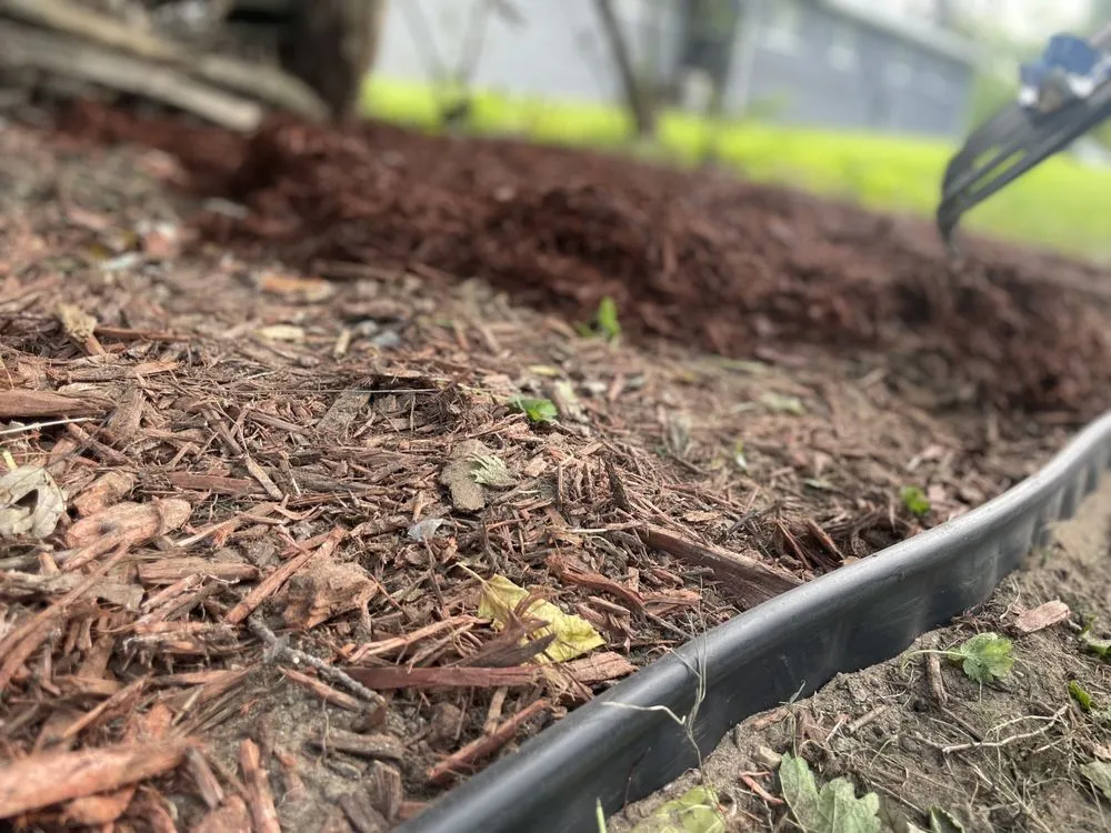 Top-rated residential landscaping in Detroit, MI - YnM Landscaping