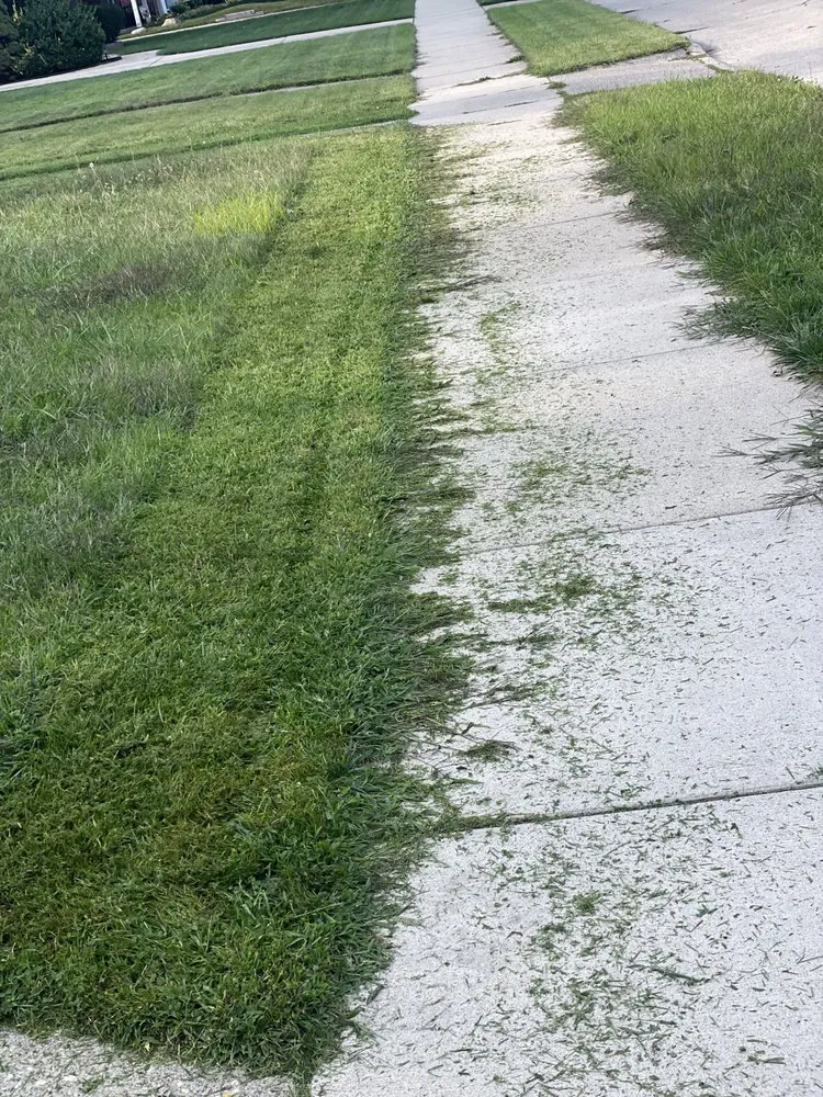 Custom yard maintenance in Detroit, MI by YnM Landscaping