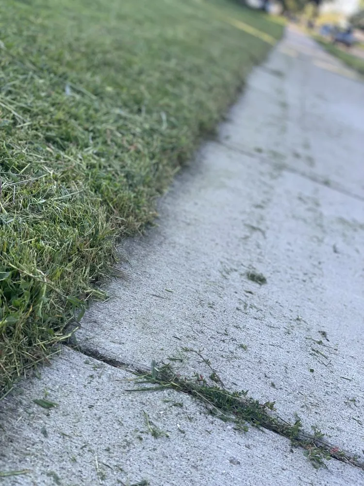 Trusted garden landscaping in Detroit, MI - YnM Landscaping