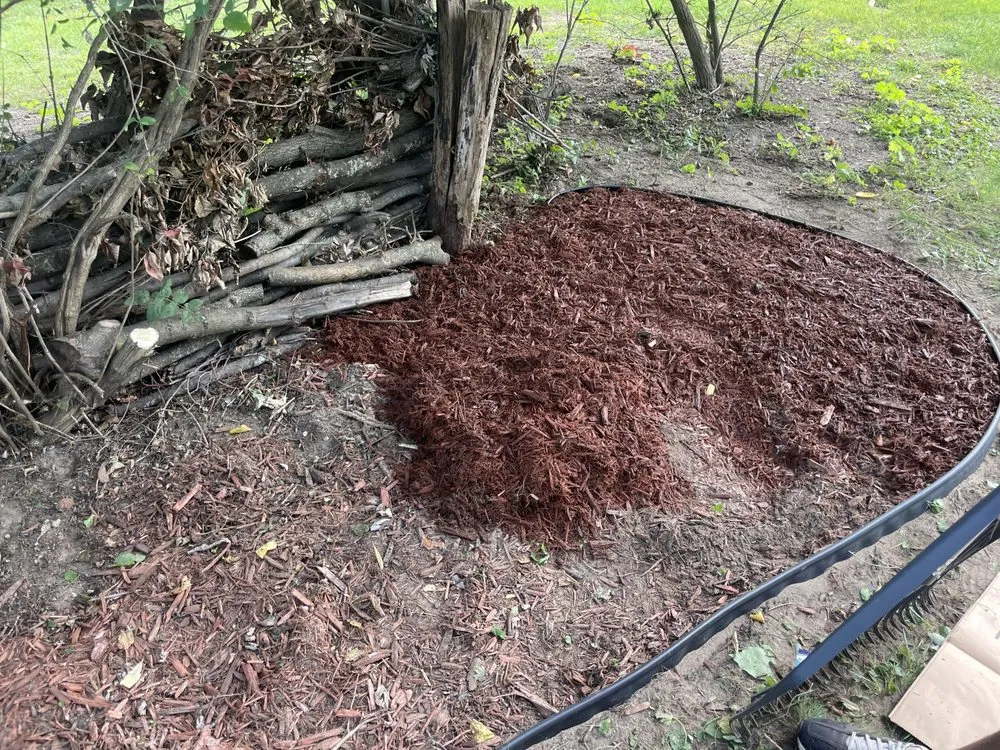 Expert yard maintenance experts serving Detroit, MI - YnM Landscaping