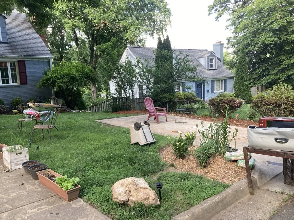 Professional yard cleanup service experts serving Arlington, VA - Yo Handyman