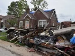 Local yard maintenance experts serving Philadelphia, PA - Yo Trash Guy