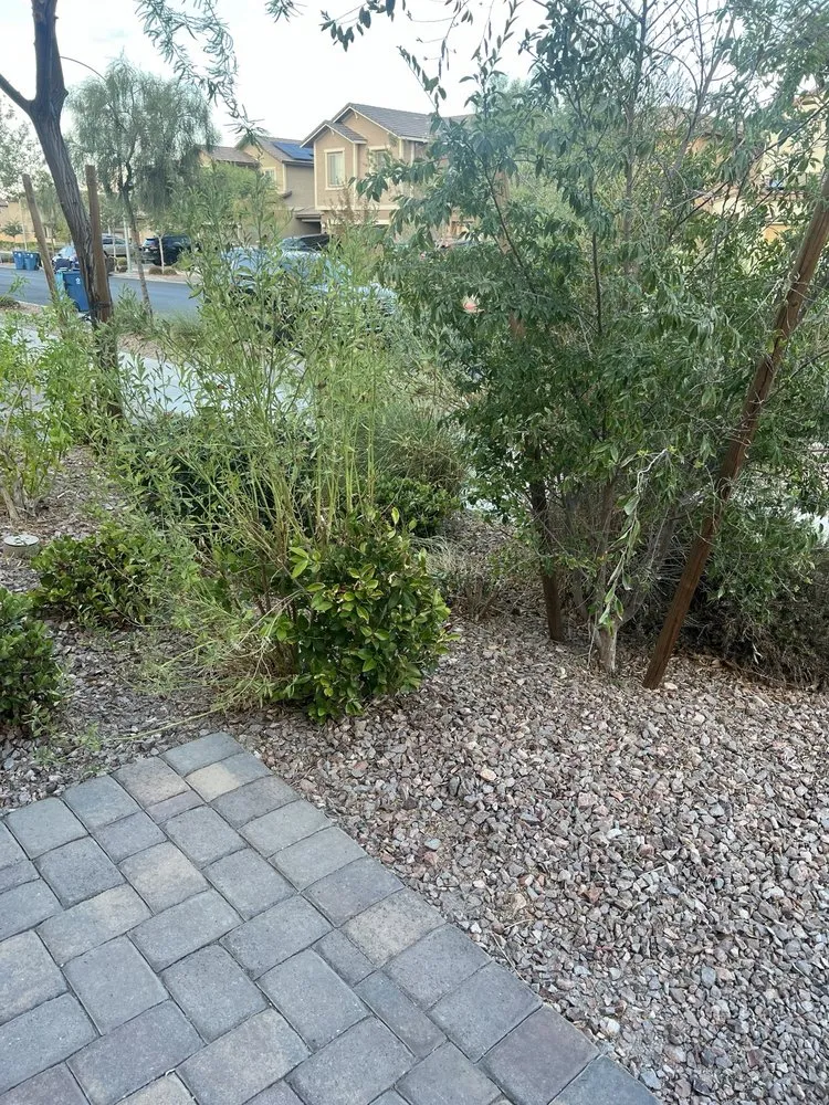 Top-rated garden landscaping for homes in Las Vegas, NV by Yocmar Lawn Services