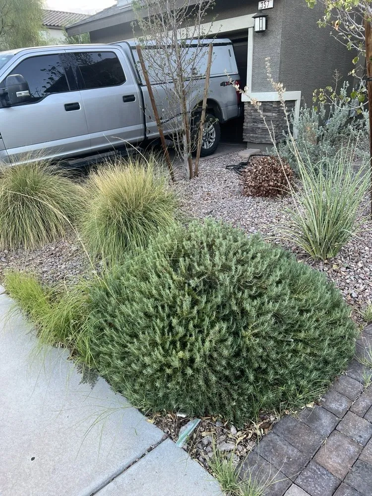Expert yard maintenance for outdoor upgrades in Las Vegas, NV by Yocmar Lawn Services