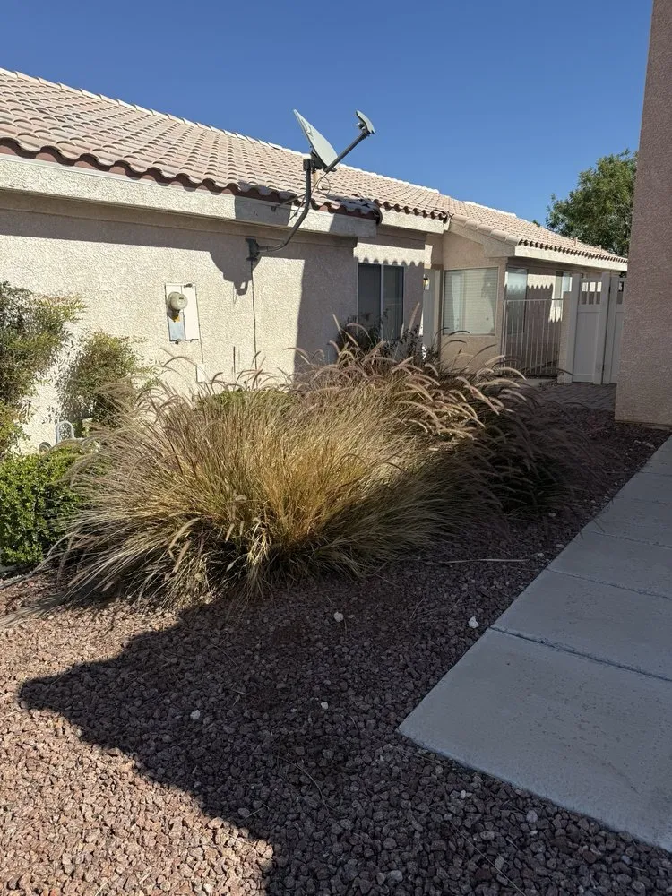 Expert lawn mowing service for beautiful yards across Las Vegas, NV - Yocmar Lawn Services