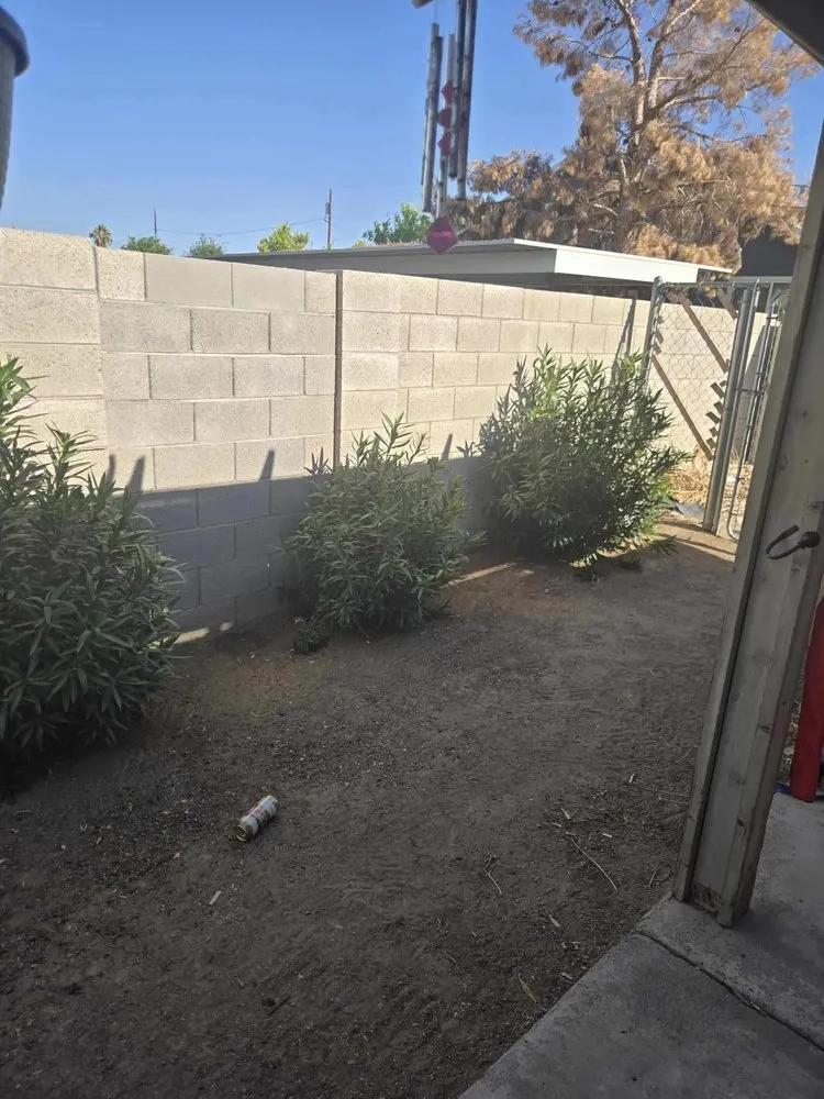 Top-rated yard cleanup service in Las Vegas, NV by Yocmar Lawn Services