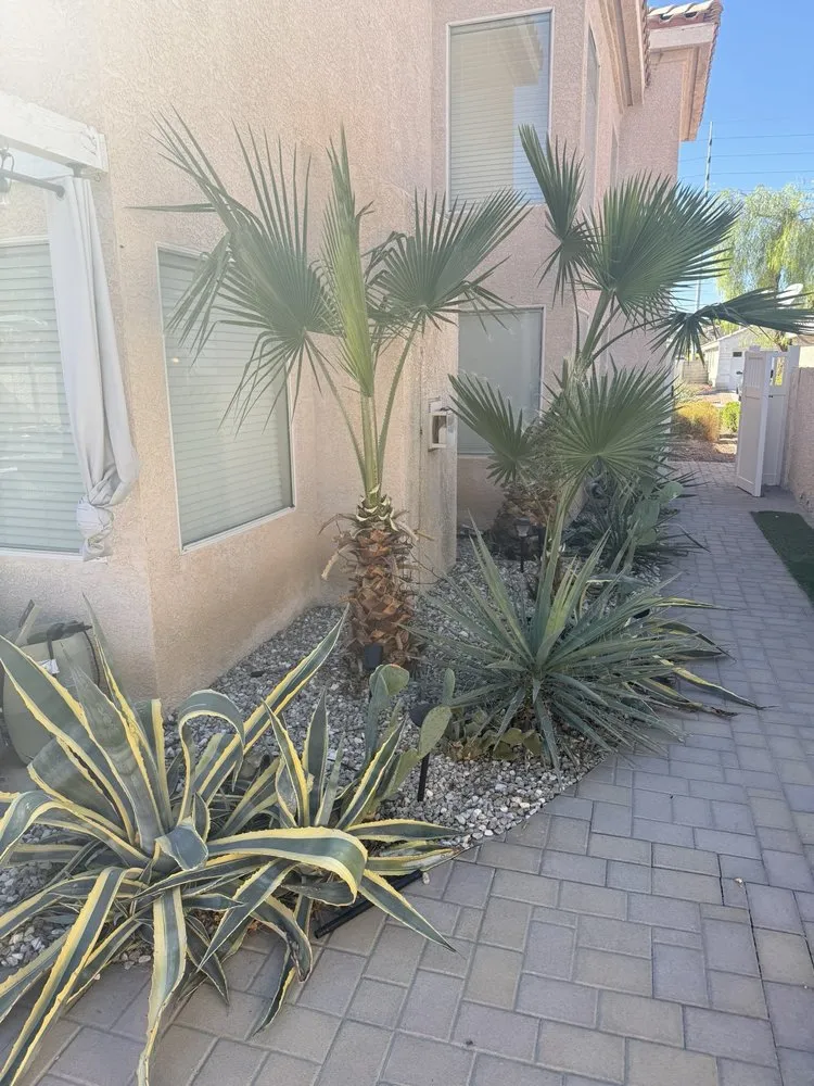 Trusted landscape design experts serving Las Vegas, NV - Yocmar Lawn Services