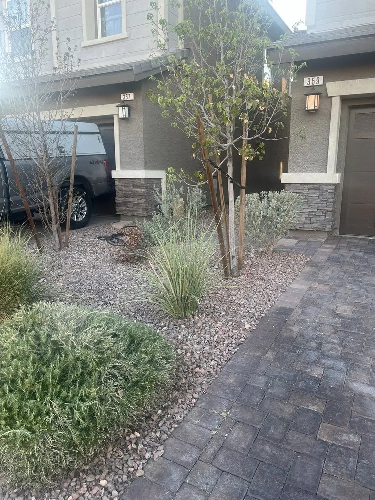 Professional yard maintenance experts serving Las Vegas, NV - Yocmar Lawn Services