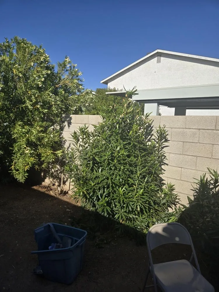 Affordable lawn mowing service in Las Vegas, NV by Yocmar Lawn Services