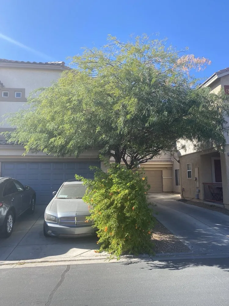 Professional residential landscaping for outdoor upgrades across Las Vegas, NV - Yocmar Lawn Services