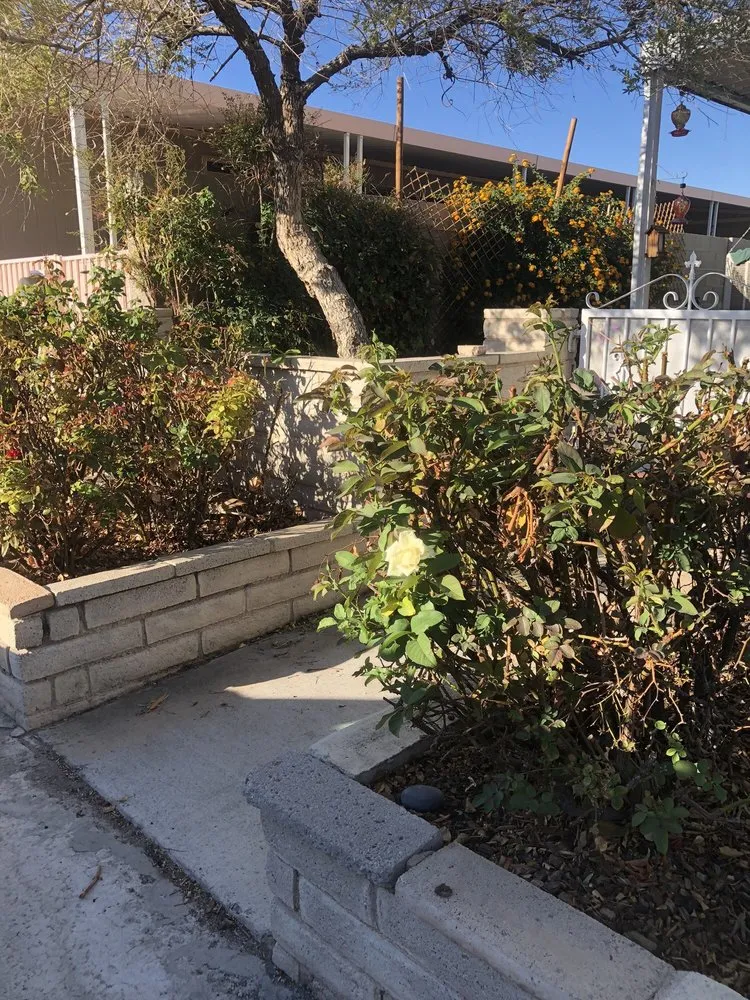 Reliable landscape design near you across Las Vegas, NV - Yocmar Lawn Services