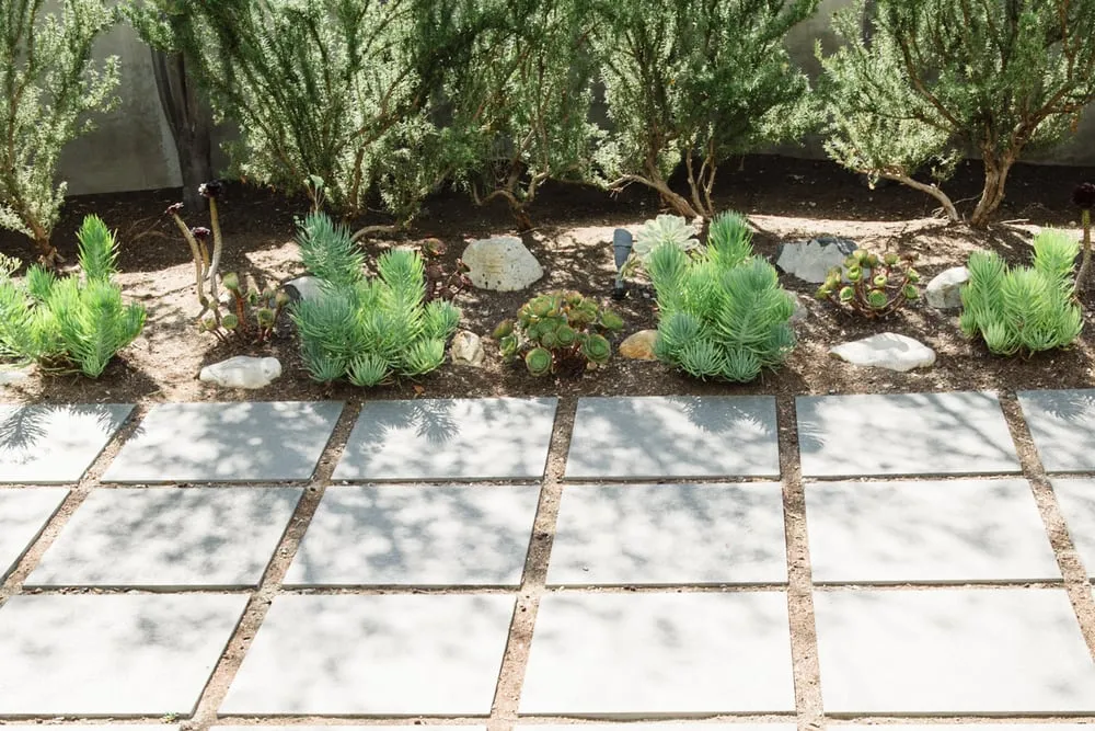 Local landscaping services in Capistrano Beach, CA - Yoder Family Landscaping