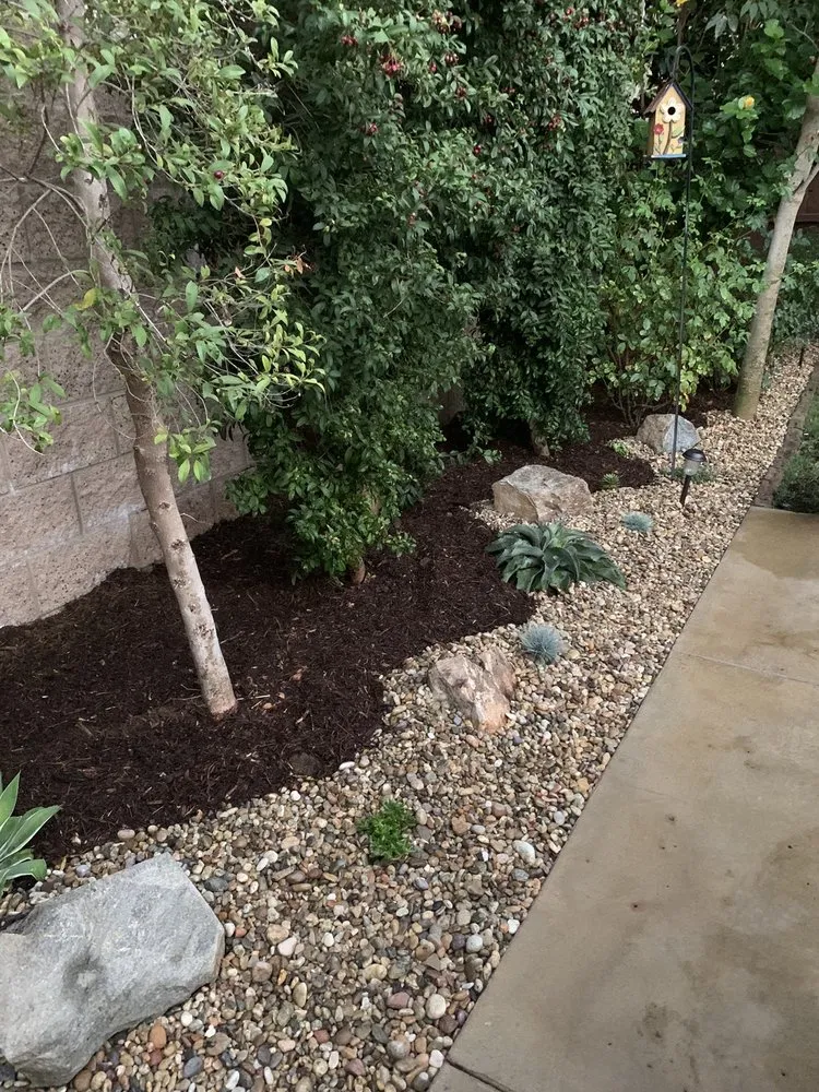 Trusted yard cleanup service in Capistrano Beach, CA by Yoder Family Landscaping