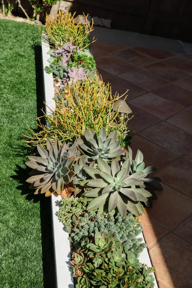 Top-rated yard maintenance for residential properties in Capistrano Beach, CA by Yoder Family Landscaping