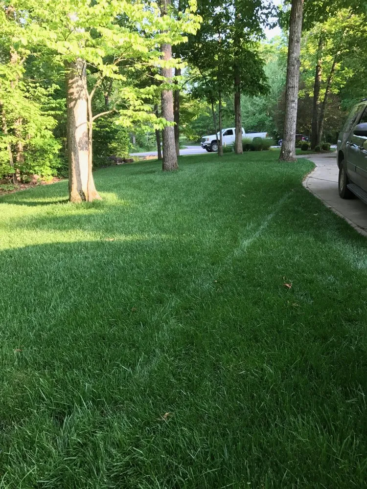 Professional landscape installation in Nixa, MO by Yoder Lawn