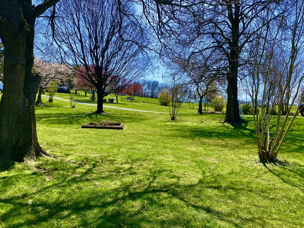 Affordable outdoor landscaping experts serving Bridgewater, VA - Yoder's Lawn Care