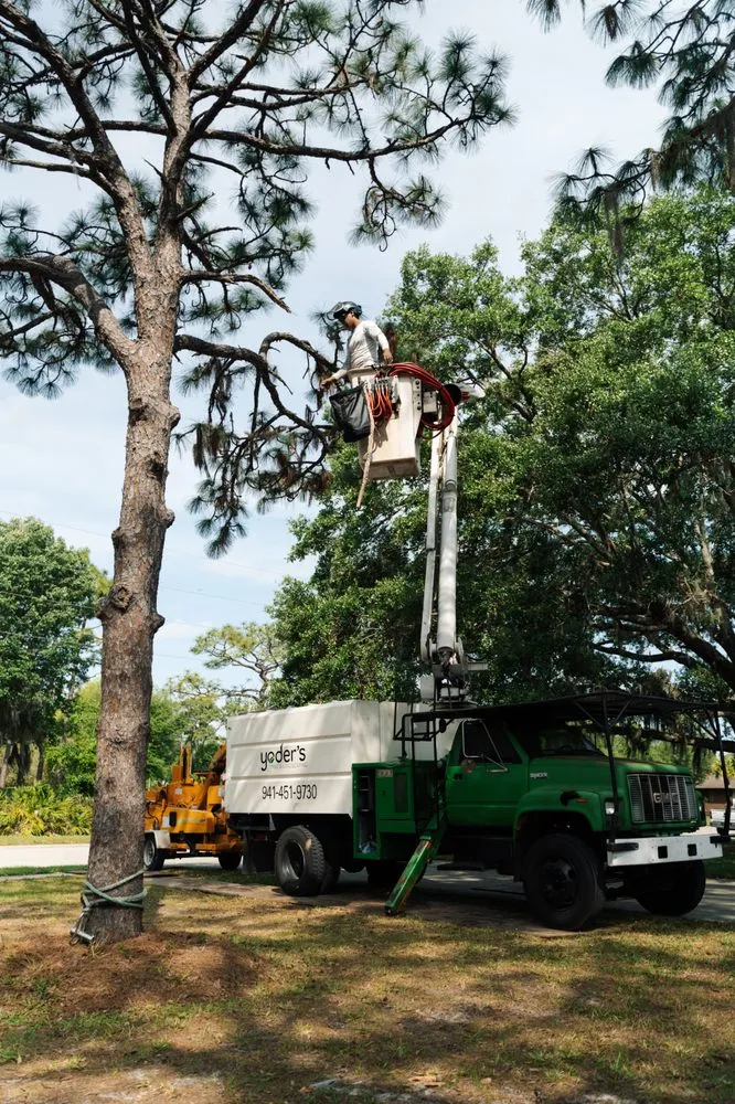 Local outdoor landscaping in Sarasota, FL - Yoders Tree And Landscaping