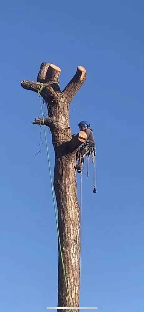 Local lawn mowing service in Sarasota, FL - Yoders Tree And Landscaping