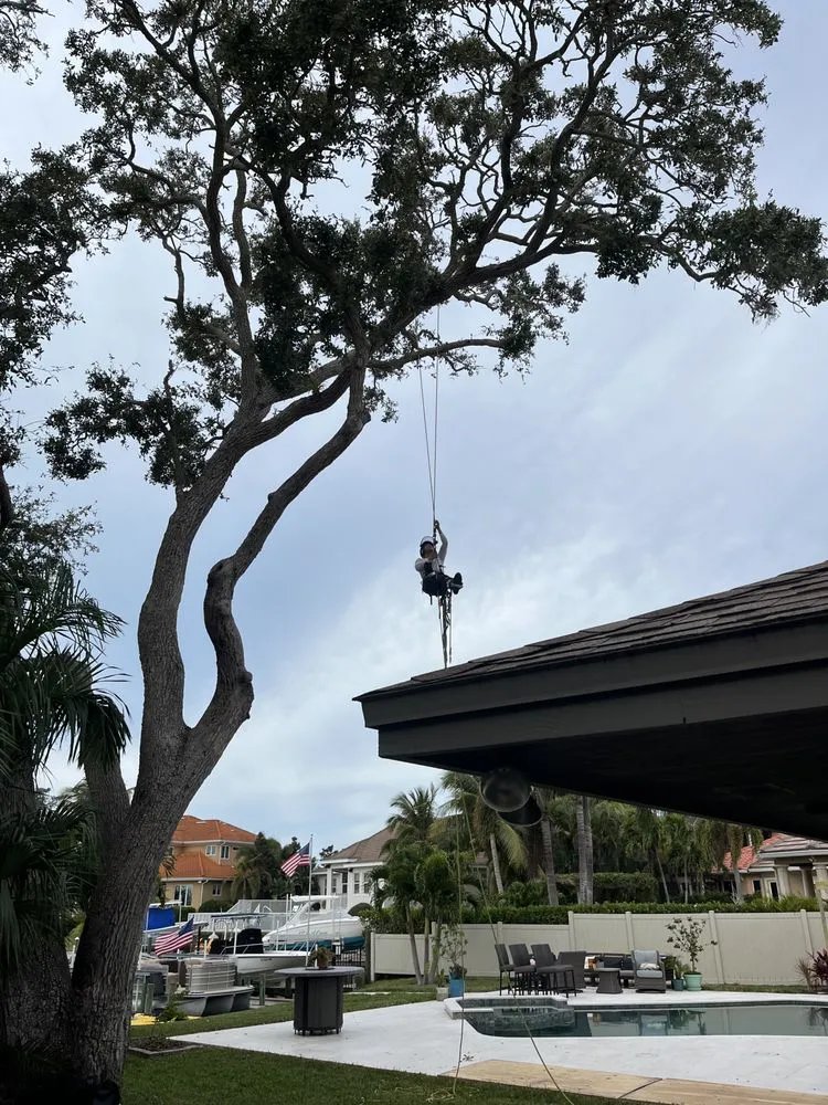 Local landscape installation for residential properties in Sarasota, FL by Yoders Tree And Landscaping