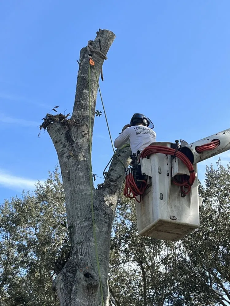 Professional landscape installation with custom design in Sarasota, FL by Yoders Tree And Landscaping